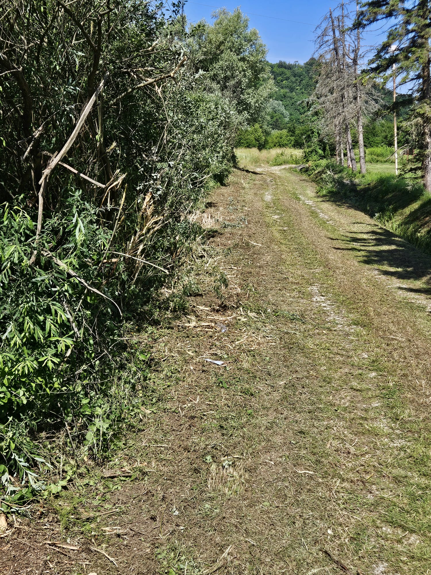 Krčenje zapuštenih parcela